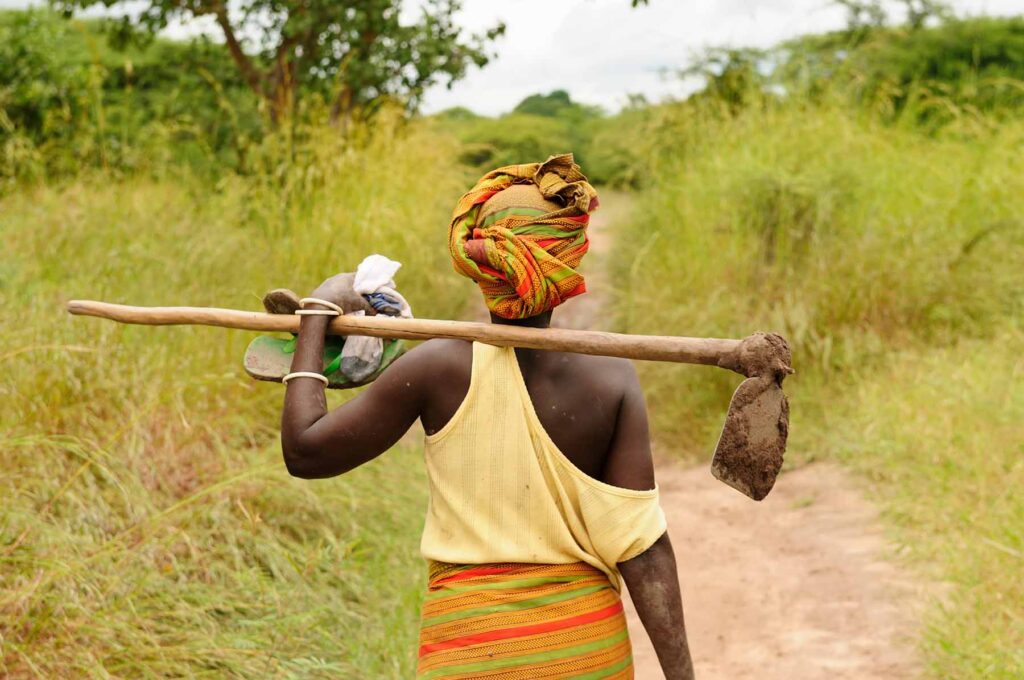 A woman in a colorful headscarf and skirt carries a hoe—one of many essential tools—over her shoulder as she walks along a dirt path through the green, grassy fields of Zambia.